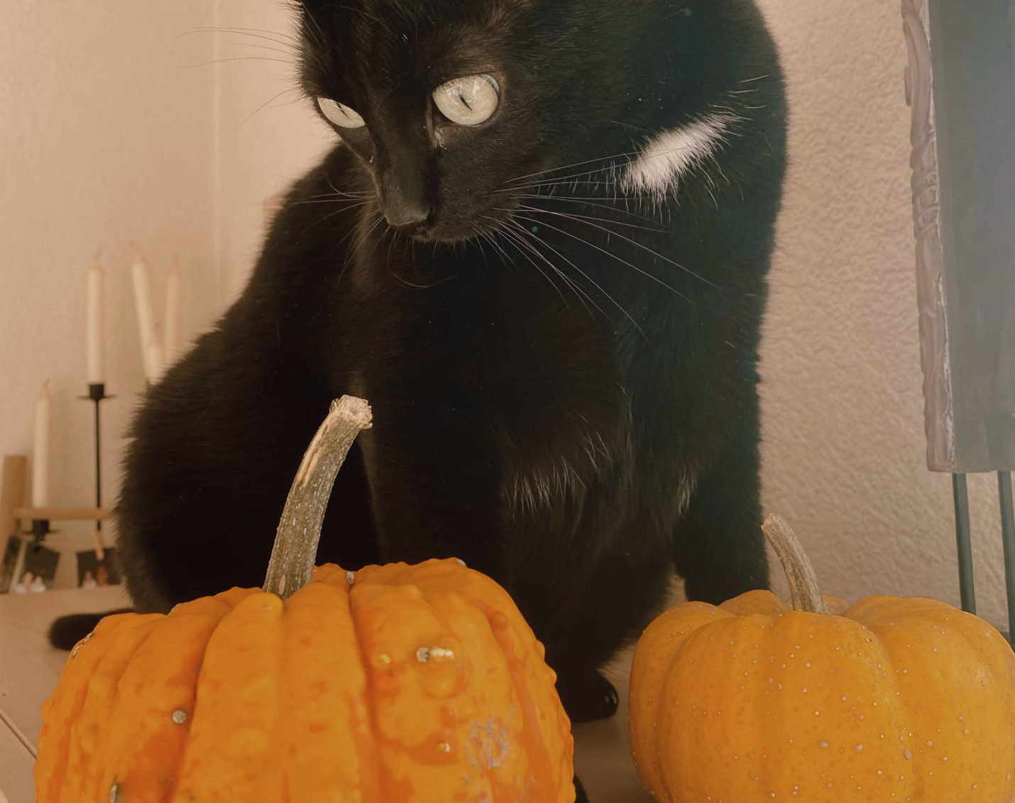 fêter Samhain