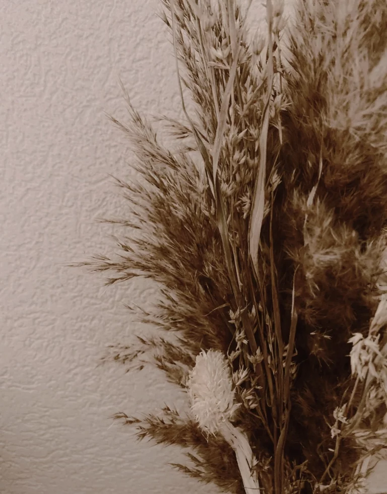 synchronicité spirituelle