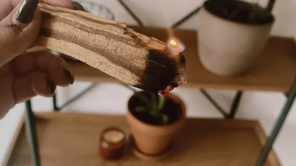 Purifier son intérieur à l'encens de Palo Santo