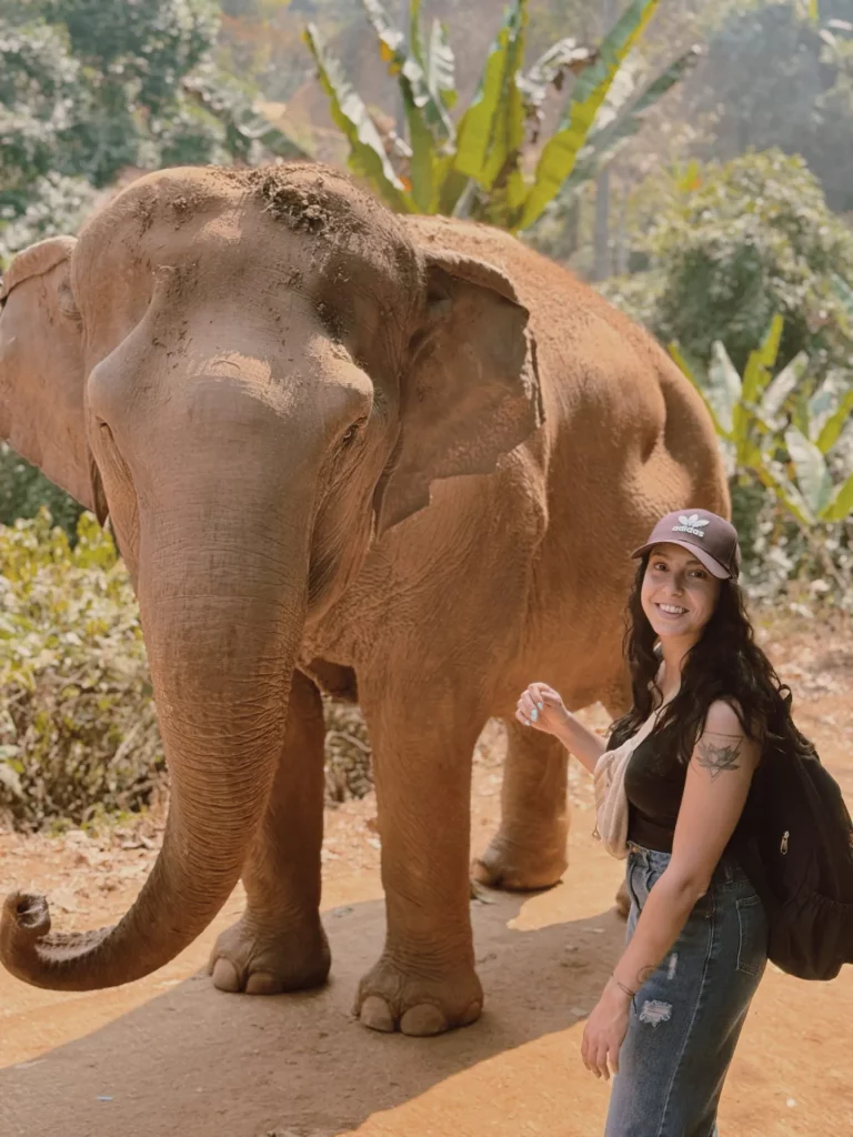 symbolique de l'éléphant - Elephant Nature Park