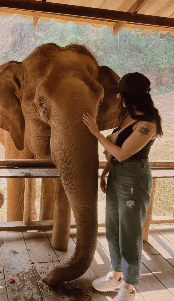 symbolique de l'éléphant- Thaïlande - nature Park Chiang Mai - rencontre avec un éléphant