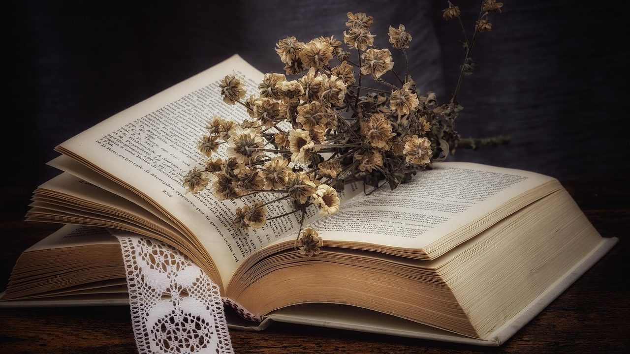bouquet séché, livre, litha 2025