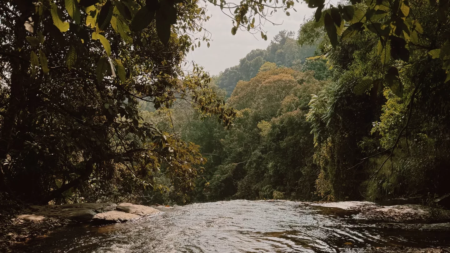 cascade, nature, forêt - être spirituel
