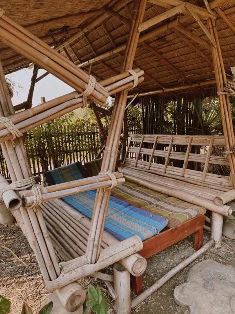 Cabane en bambou, bambou bienfaits