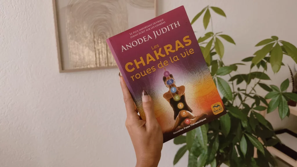 Chakras roue de la vie - livre - plexus solaire