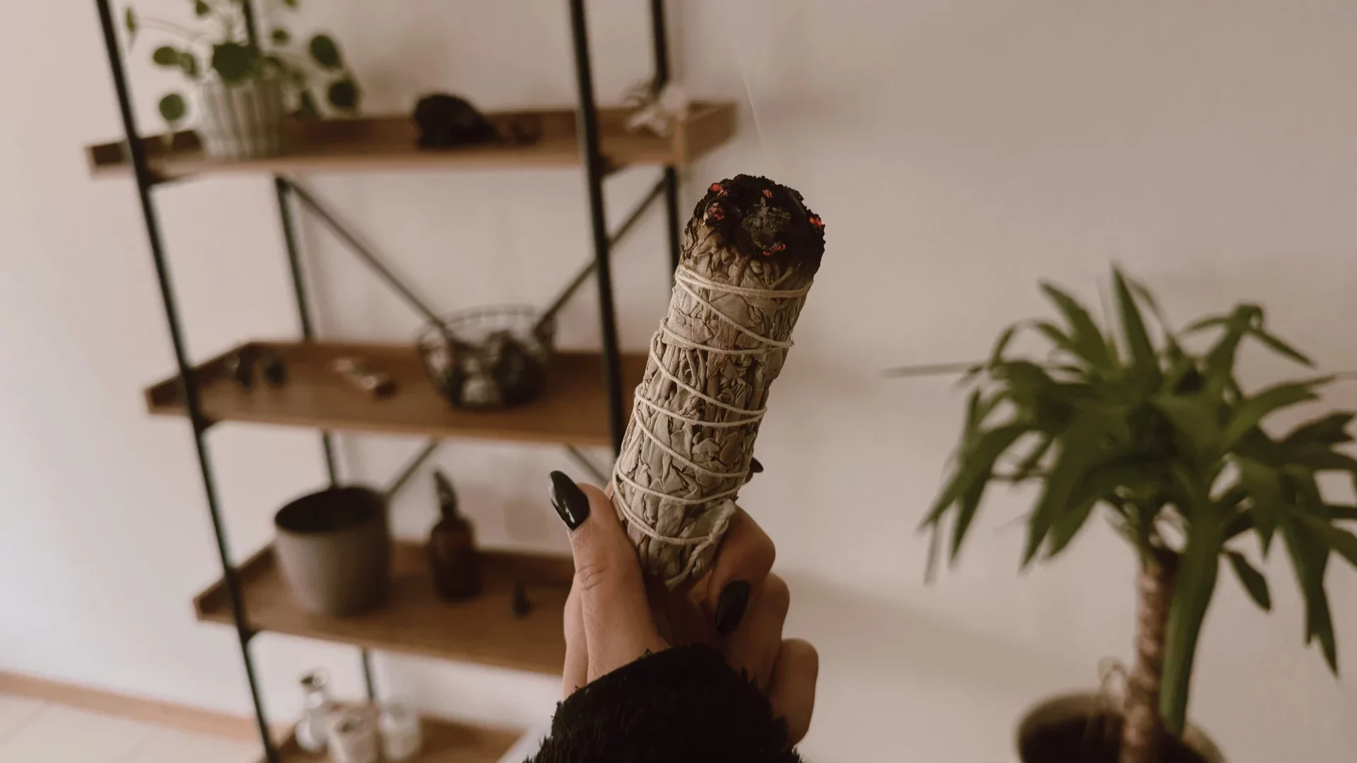 Smudging - sauge blanche - bâton de sauge