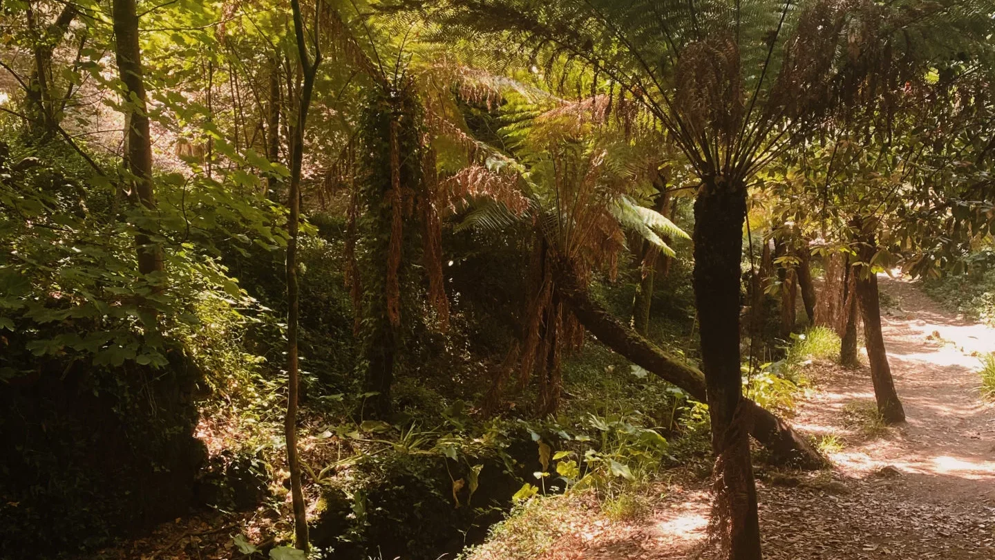 augmenter son taux vibratoire