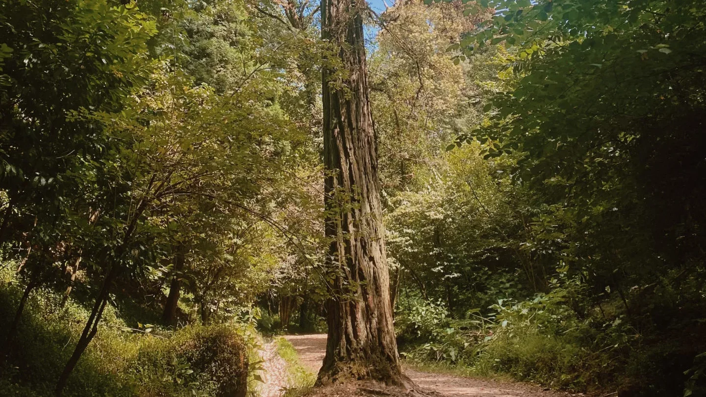 Comment protéger son énergie spirituelle