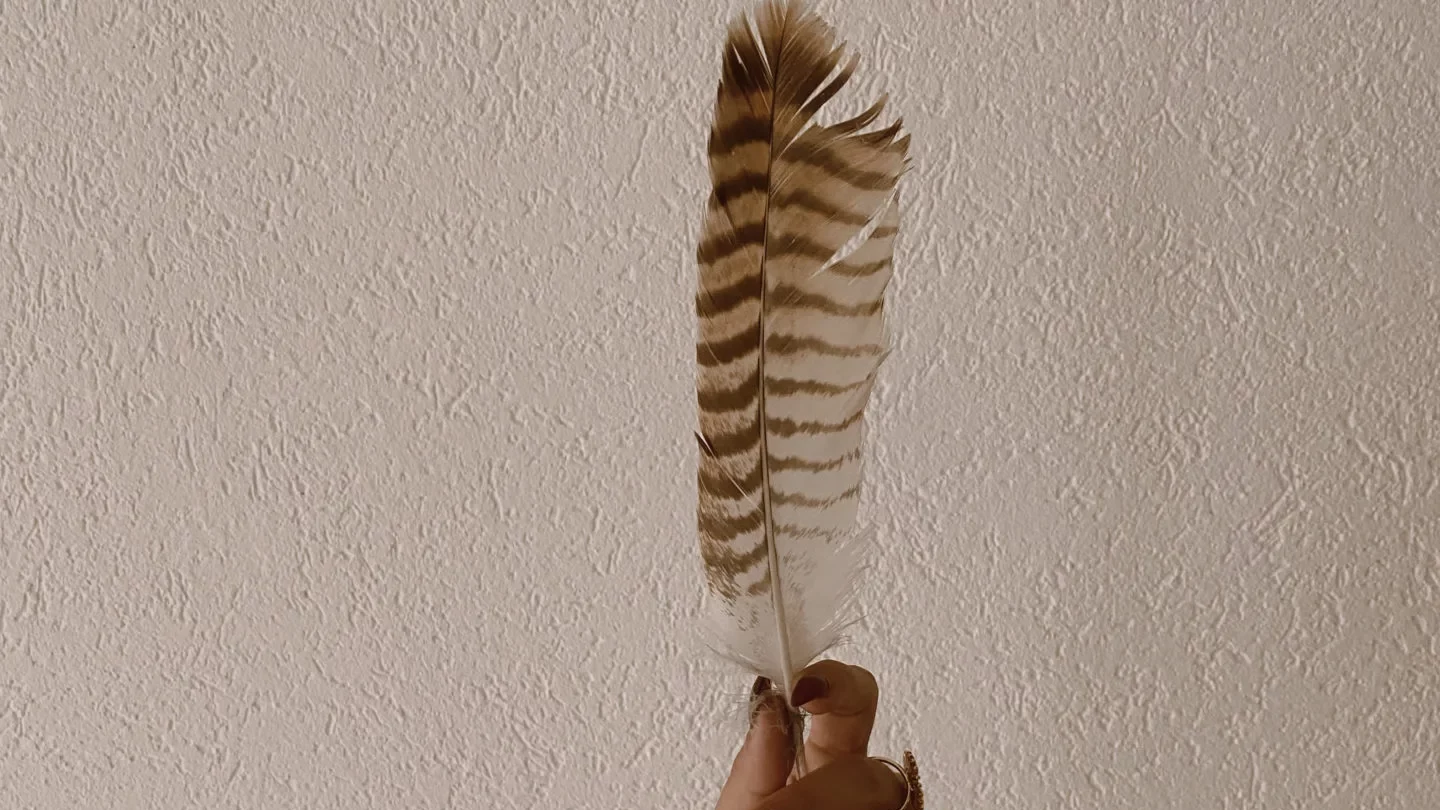 plume - synchronicité spirituelle