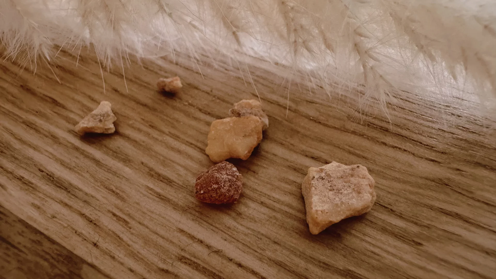 Benjoin encens - Encens de benjoin - grains de résine de benjoin