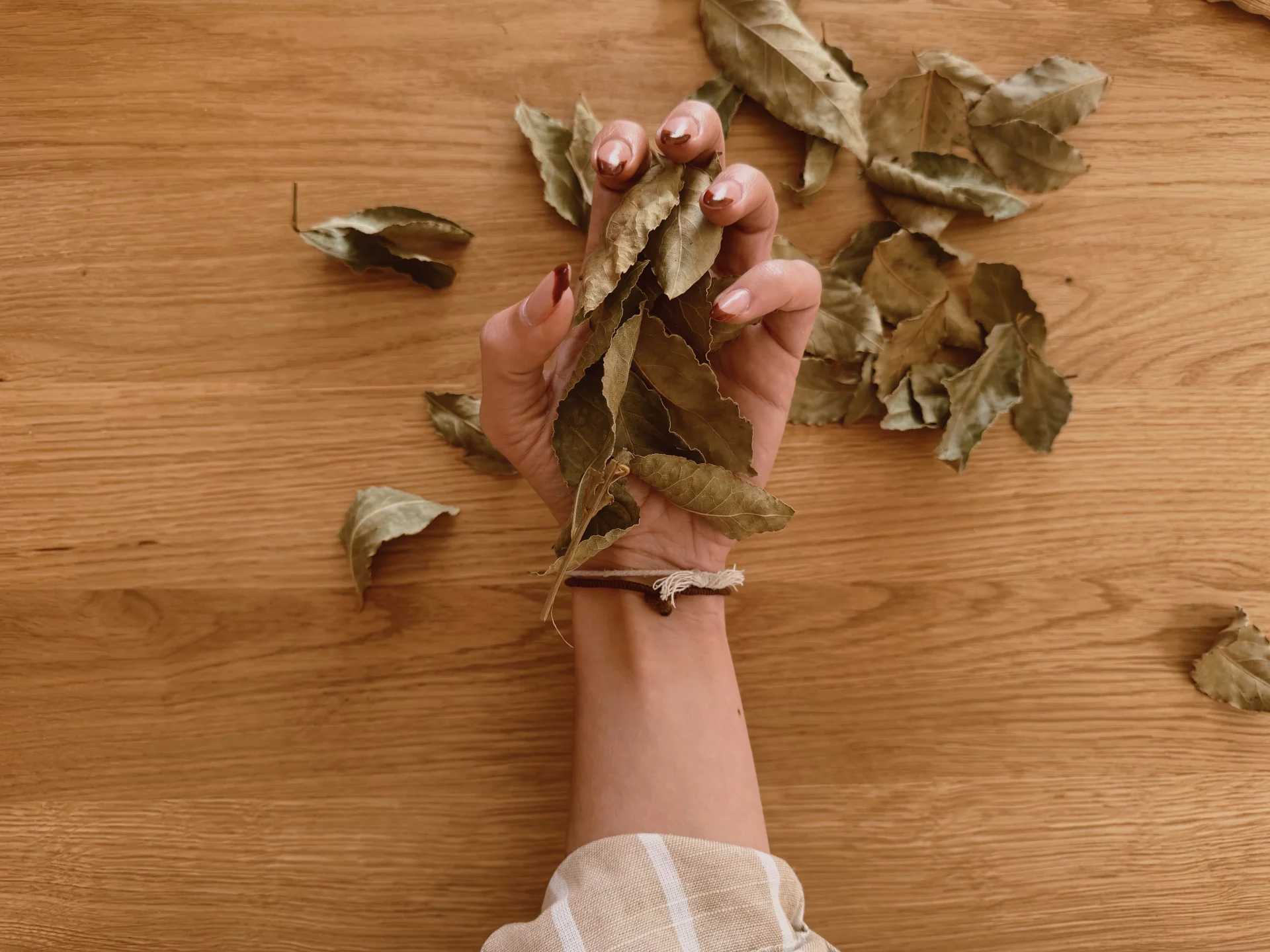 Bienfaits du laurier