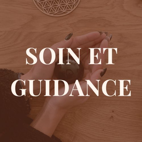 Catégorie Soin et Guidance