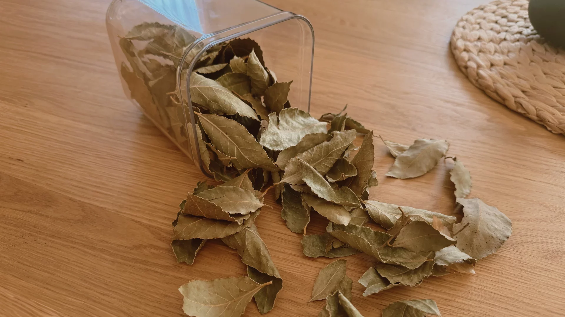 Feuilles laurier séchées bienfaits du laurier