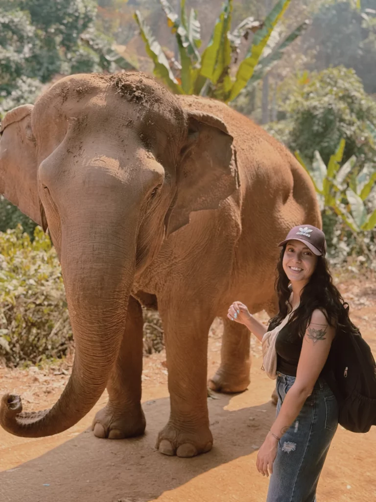 comment connaître son animal totem