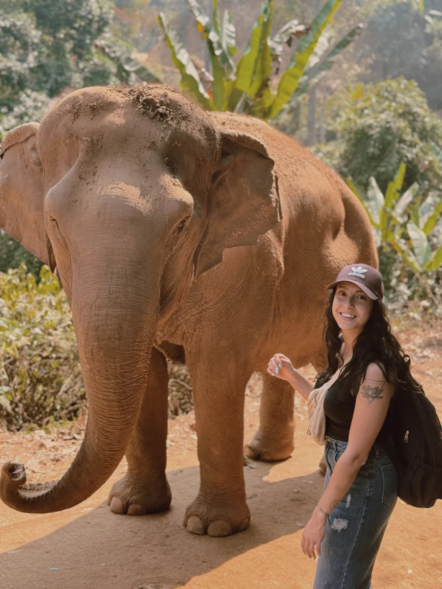 comment connaître son animal totem